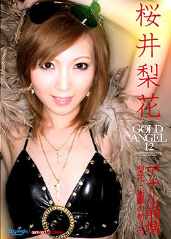 Gold Angel Vol 12